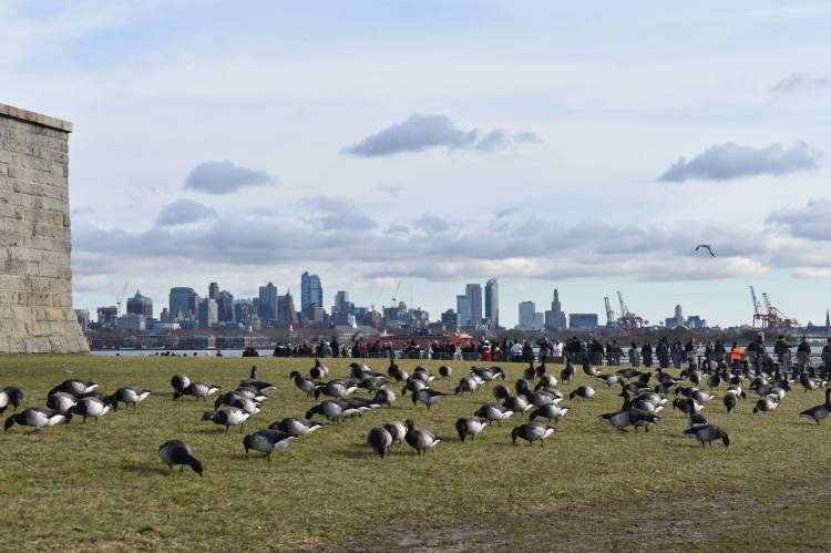 46765722_202298497371025_1069710490386563072_n